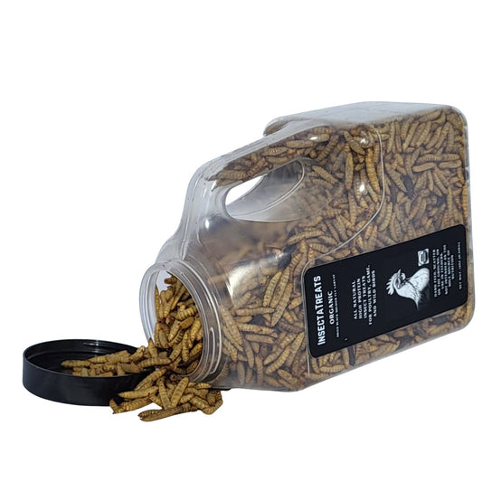 12 oz USDA Certified Organic InsectaTreats