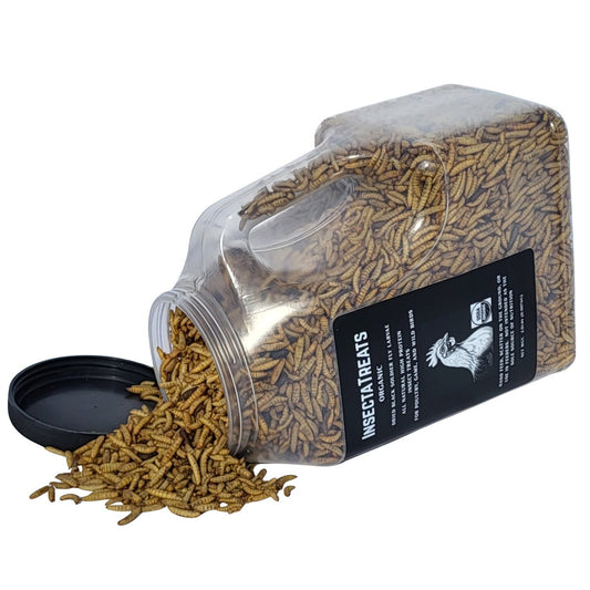 2 lbs USDA Certified Organic InsectaTreats