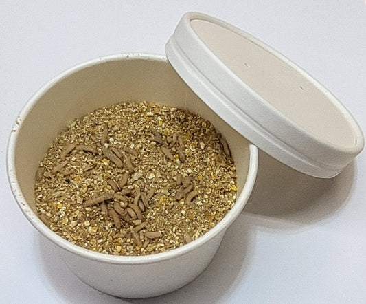 1000 Small - Live  Black Soldier Fly Larvae
