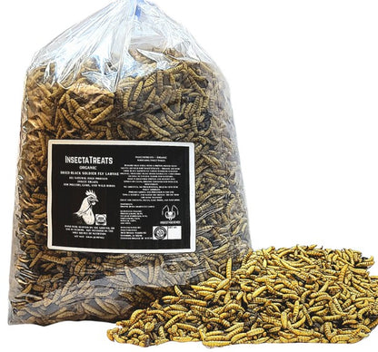 InsectaTreats™ Monthly Refills - Subscribe and Save | USDA Certified Organic Dried Black Soldier Fly Larvae