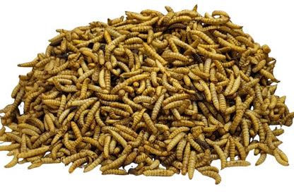 InsectaTreats™ Monthly Refills - Subscribe and Save | USDA Certified Organic Dried Black Soldier Fly Larvae